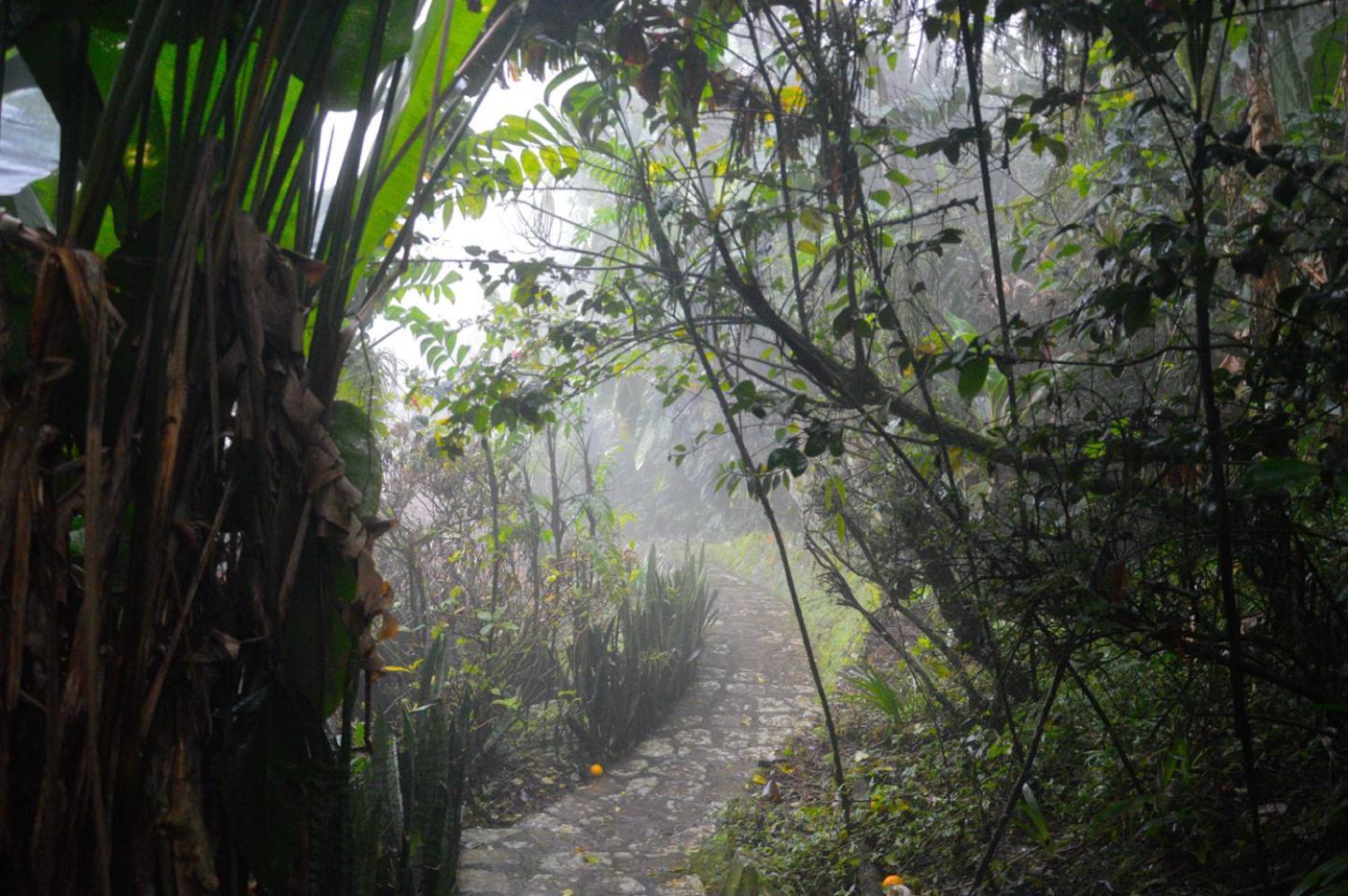 Hotel Taselotzin Cuetzalan Luaran gambar