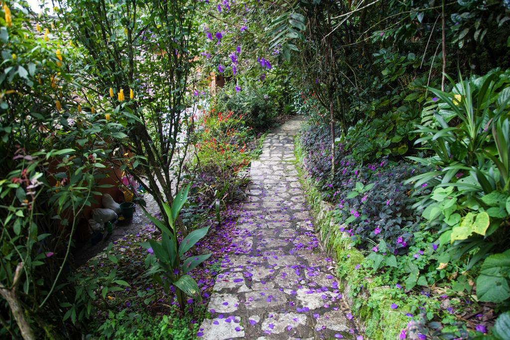 Hotel Taselotzin Cuetzalan Luaran gambar
